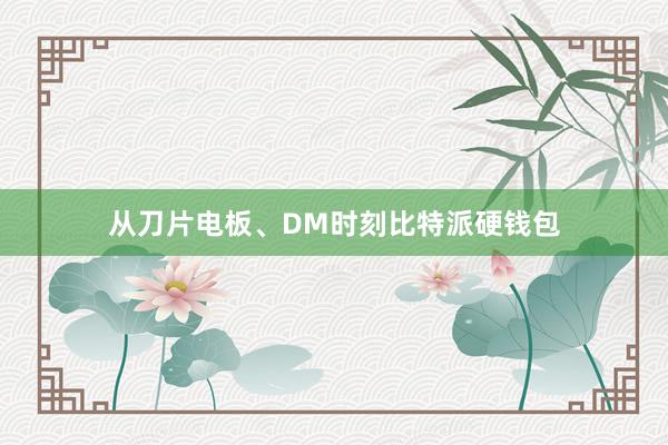 从刀片电板、DM时刻比特派硬钱包