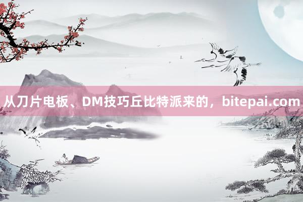 从刀片电板、DM技巧丘比特派来的，bitepai.com