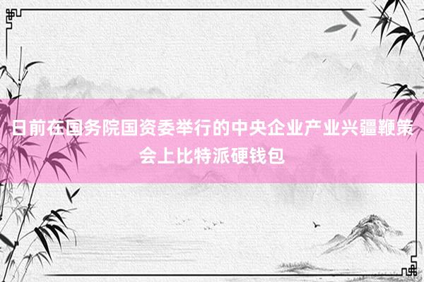 日前在国务院国资委举行的中央企业产业兴疆鞭策会上比特派硬钱包