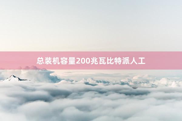 总装机容量200兆瓦比特派人工