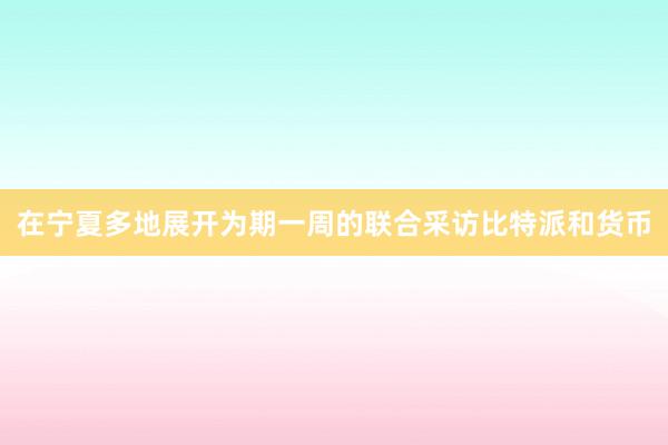 在宁夏多地展开为期一周的联合采访比特派和货币