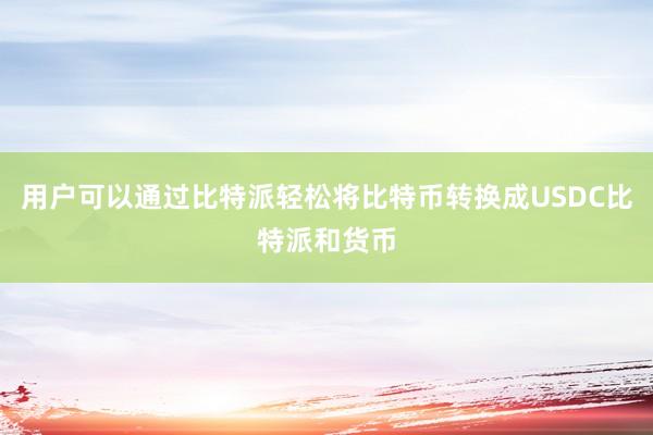 用户可以通过比特派轻松将比特币转换成USDC比特派和货币