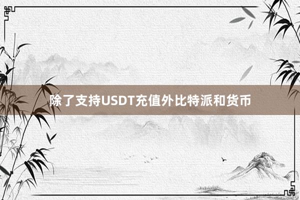 除了支持USDT充值外比特派和货币