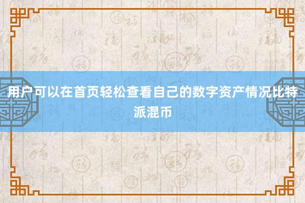 用户可以在首页轻松查看自己的数字资产情况比特派混币