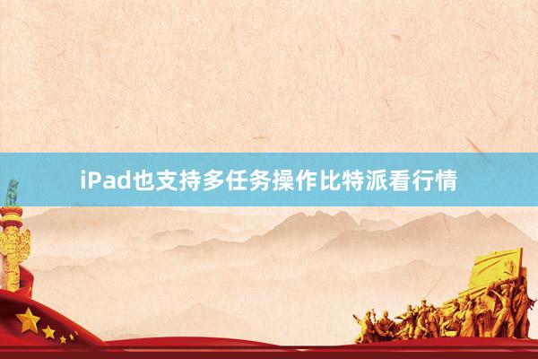 iPad也支持多任务操作比特派看行情