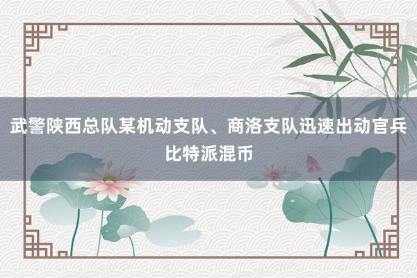 武警陕西总队某机动支队、商洛支队迅速出动官兵比特派混币