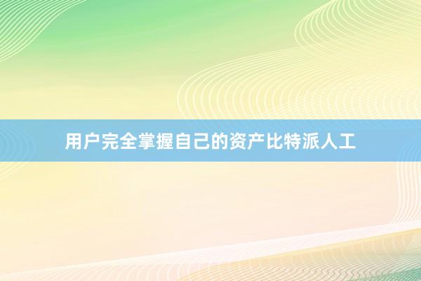 用户完全掌握自己的资产比特派人工