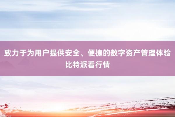 致力于为用户提供安全、便捷的数字资产管理体验比特派看行情