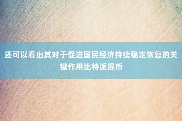 还可以看出其对于促进国民经济持续稳定恢复的关键作用比特派混币