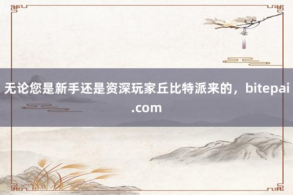 无论您是新手还是资深玩家丘比特派来的，bitepai.com