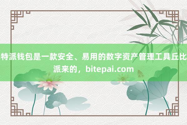 比特派钱包是一款安全、易用的数字资产管理工具丘比特派来的，bitepai.com