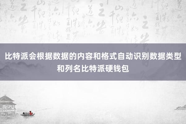 比特派会根据数据的内容和格式自动识别数据类型和列名比特派硬钱包