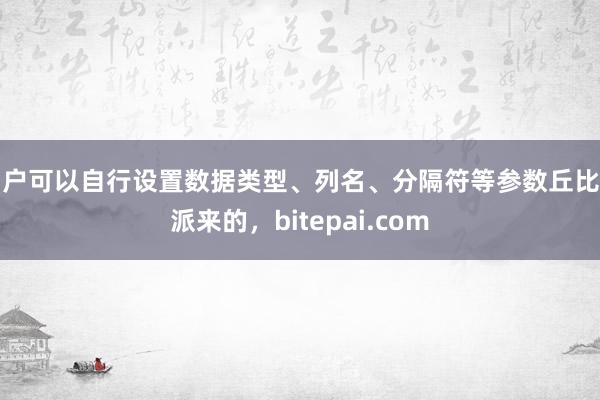 用户可以自行设置数据类型、列名、分隔符等参数丘比特派来的，bitepai.com