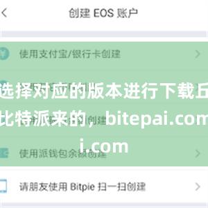 选择对应的版本进行下载丘比特派来的，bitepai.com