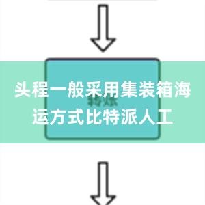 头程一般采用集装箱海运方式比特派人工