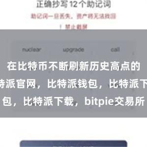 在比特币不断刷新历史高点的背景下比特派官网，比特派钱包，比特派下载，bitpie交易所